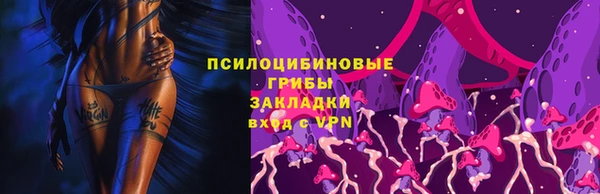 стаф Баксан