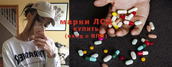 гидропоника Белокуриха