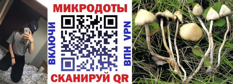 Псилоцибиновые грибы Cubensis  Купить где  Кяхта 