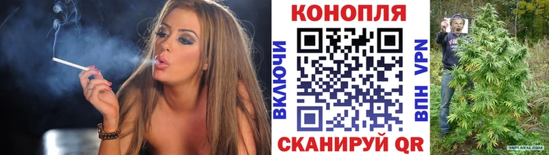 Купить где  Кяхта  Бошки марихуана сатива 
